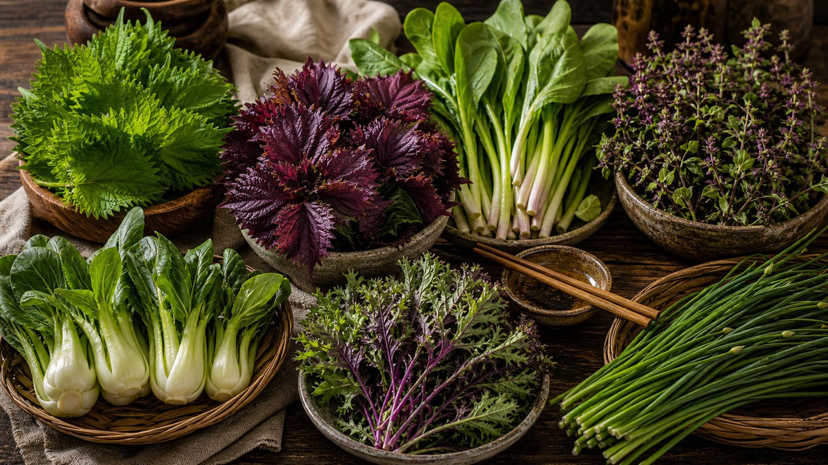 Légumes-feuilles et herbes aromatiques asiatiques qui méritent plus de place dans votre jardin