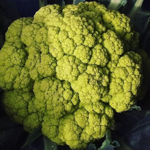 Vitaverde Cauliflower