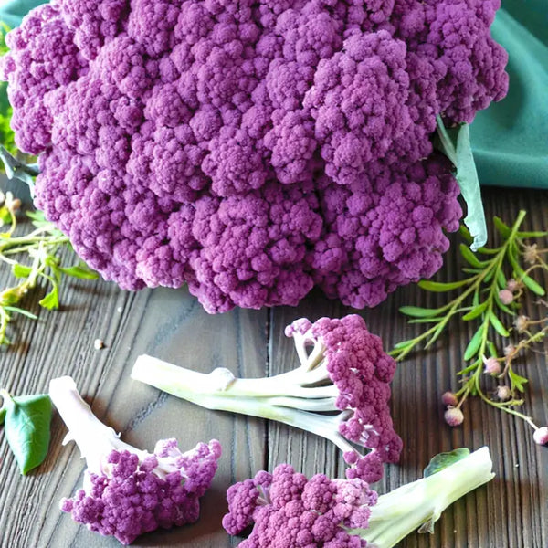 Murasaki Fioretto 70 Sprouting Cauliflower (F1)
