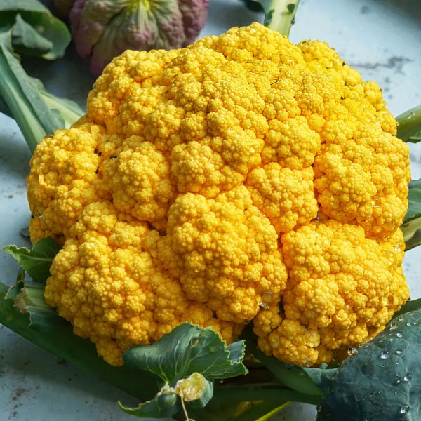 Clementine Cauliflower