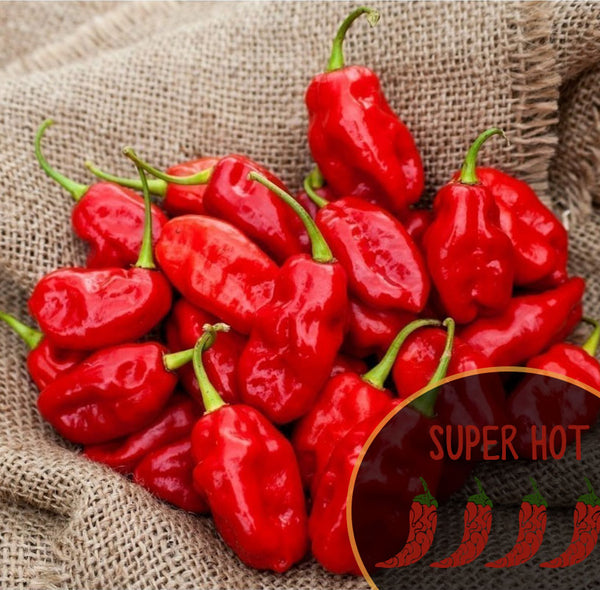 Red chili Isabela Island Habanero peppers on a burlap background with 'Super Hot' label.