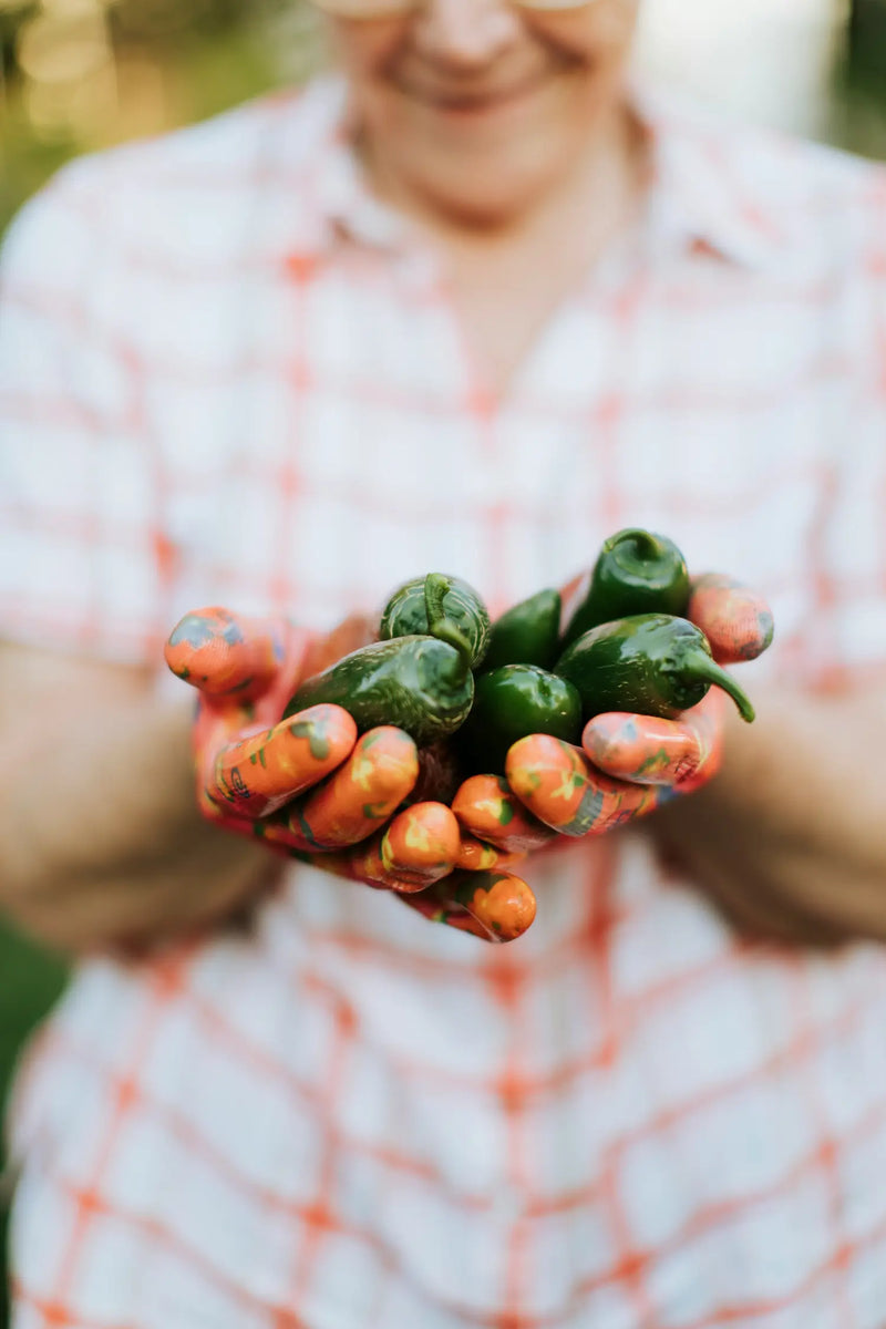 Pepper Seeds