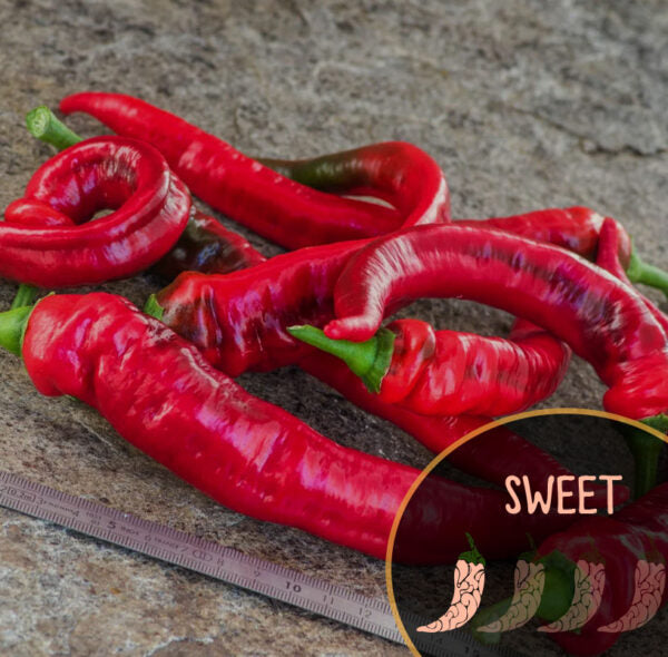 Red Jimmy Nardello peppers on a stone surface with a ruler for scale, featuring the word 'SWEET'.