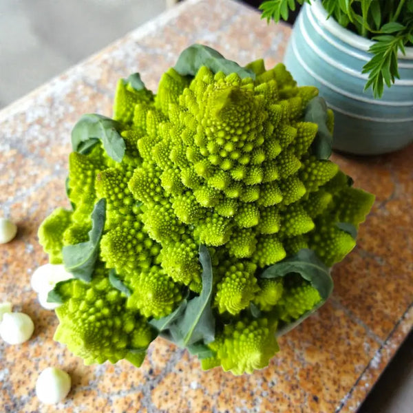 Puntaverde Cauliflower