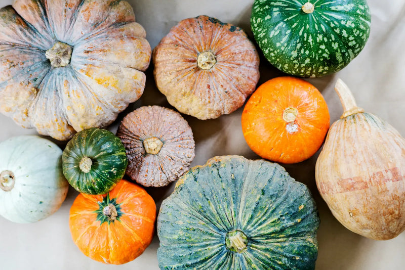 Pumpkin & Squash
