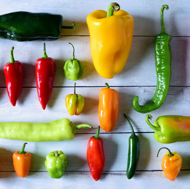 🌶️ Top 20 Must-Grow Peppers for Your Pepper Patch