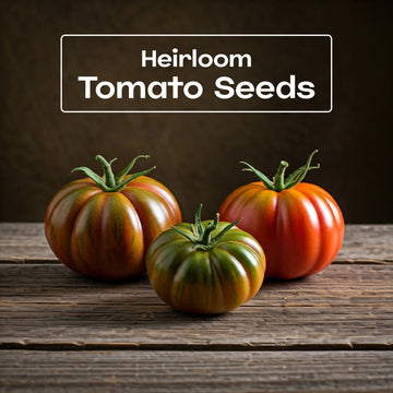 Tomato Seeds Canada - exotic heirloom tomato seeds