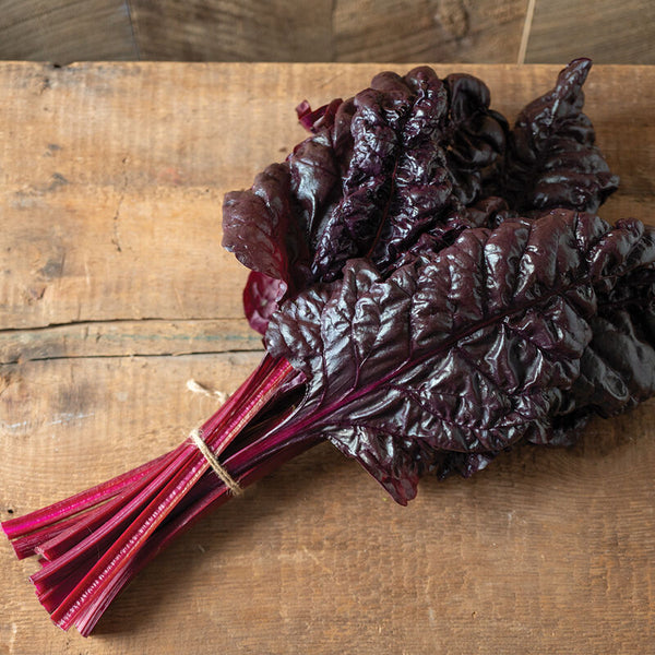Firebird (F1) Swiss Chard Seed
