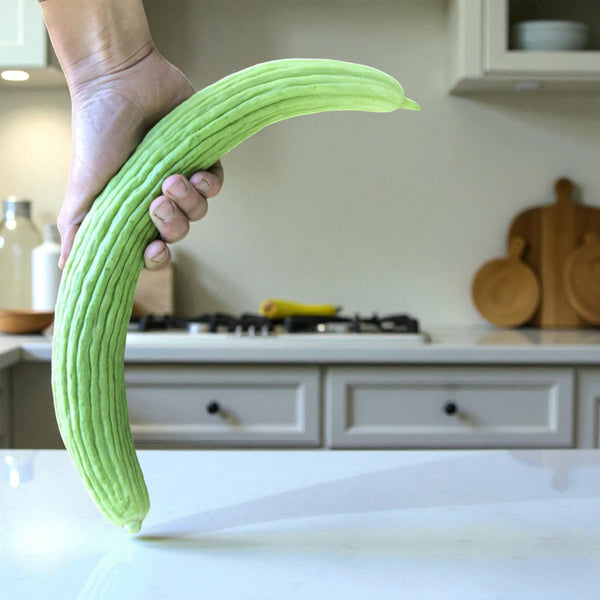 Armenian Cucumber seeds melon-type variety with silky-crisp texture from Casa Verde Chef Shop