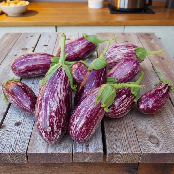 Listada de Gandia Eggplant Seeds