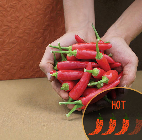 Super Chili Pepper Seeds (Hybrid)