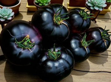 Black Beauty tomatoes on a wooden surface with small succulents in the background