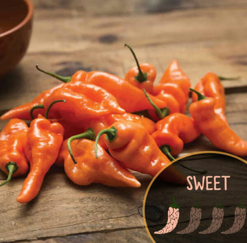 Orange Habanada peppers on a wooden surface with 'SWEET' label