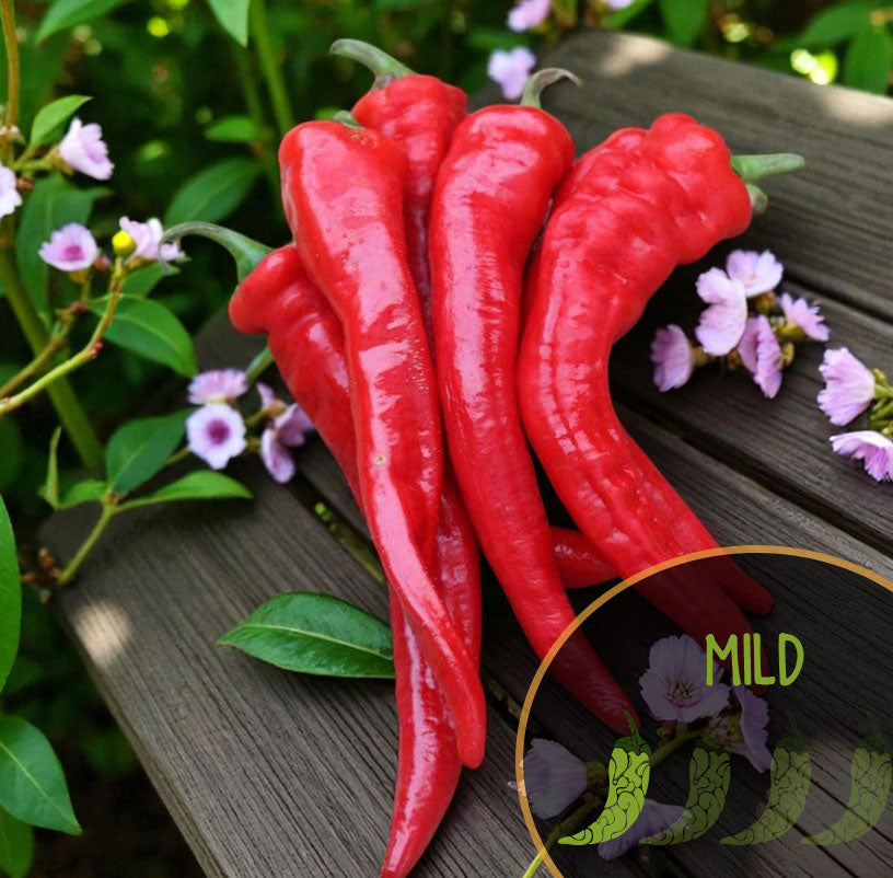 Red Hot Portugal chili peppers on a wooden surface with green leaves and pink flowers in the background