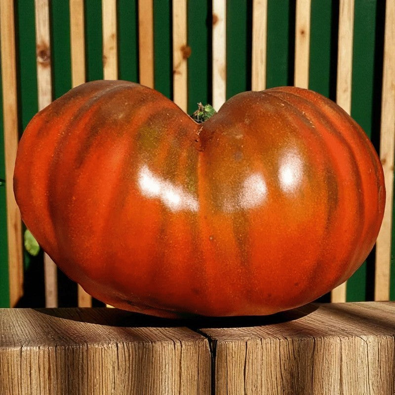 Large orange Paul Robeson Tomato on a wooden surface with a green and brown striped background