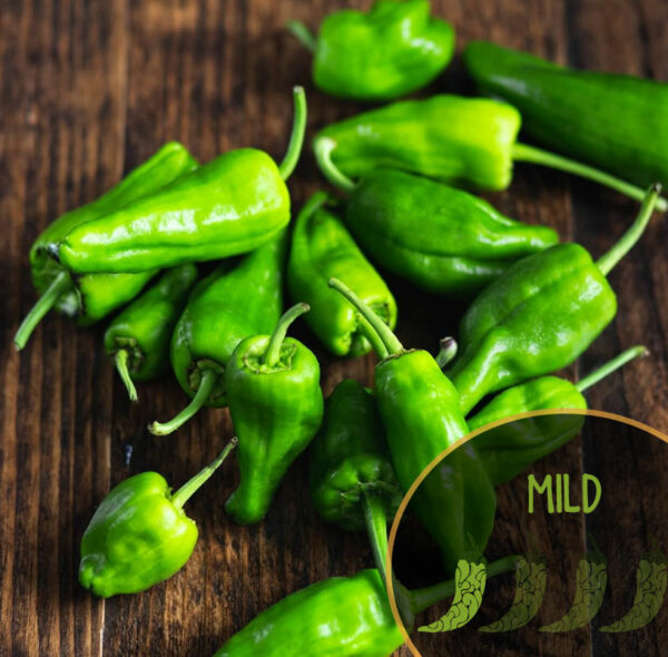 Green Padron peppers on a wooden surface with 'MILD' label