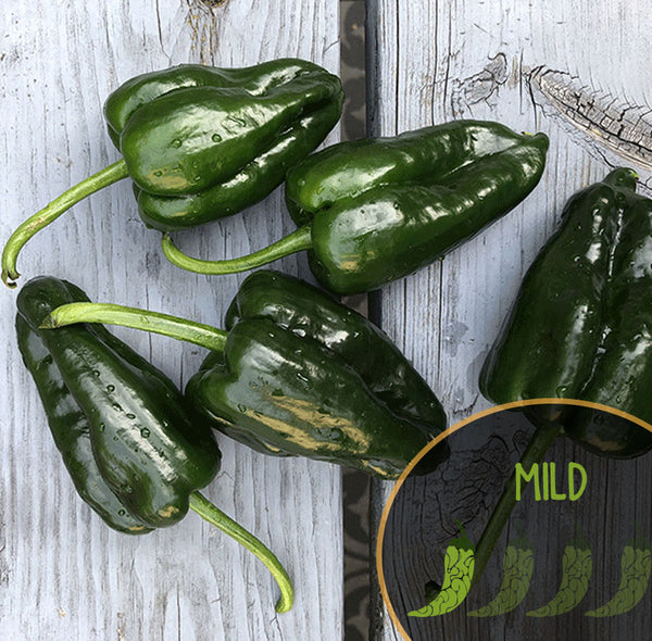 Green Poblano peppers on a wooden surface with a 'MILD' label.