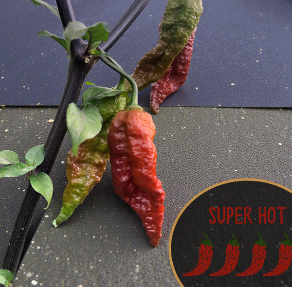 Purple Massacre Superhot