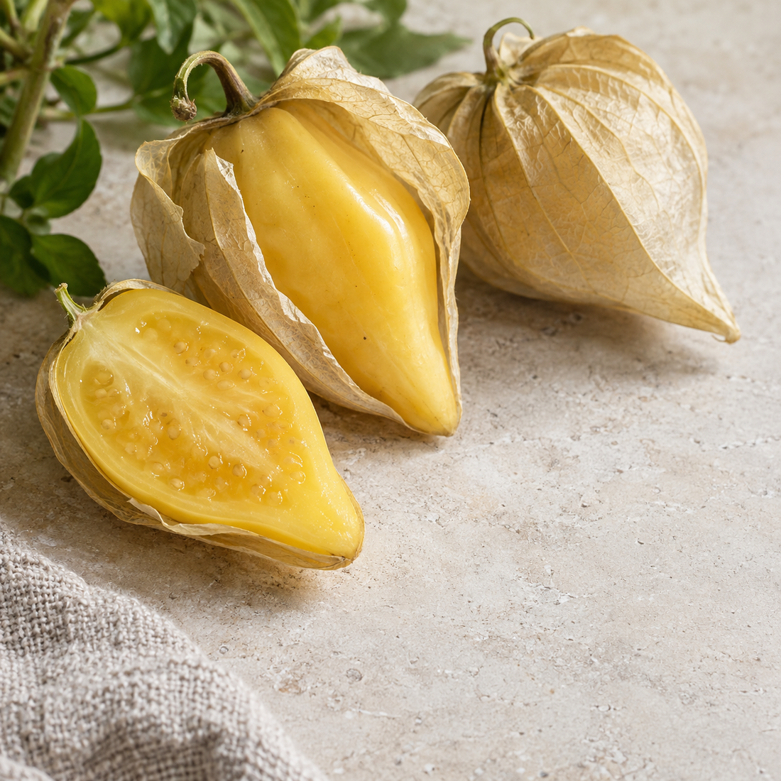 Queen of Malinalco Tomatillo — culinary view (AI-generated illustration)