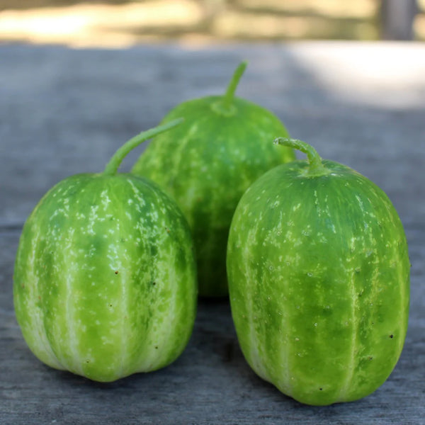 Richmond Apple Cucumber