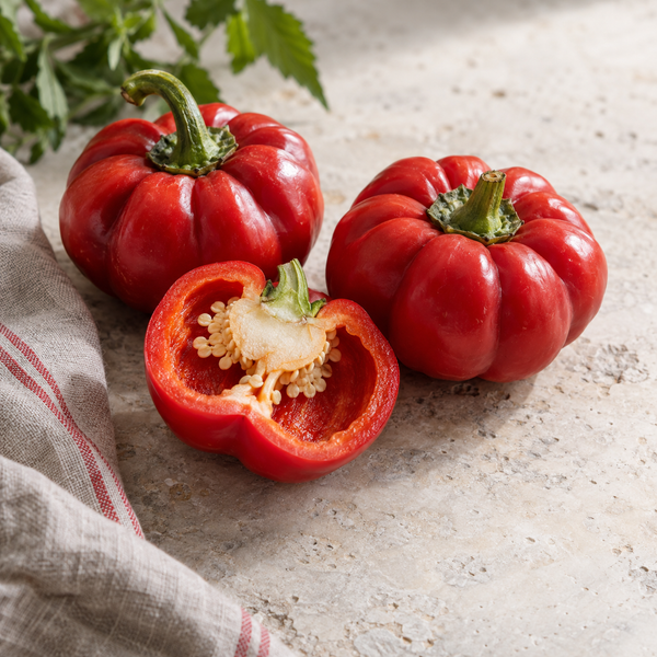 Round of Hungary Pepper — culinary view (AI-generated illustration)