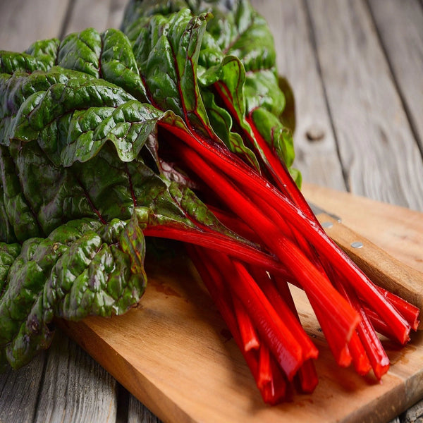 Ruby Red Swiss Chard