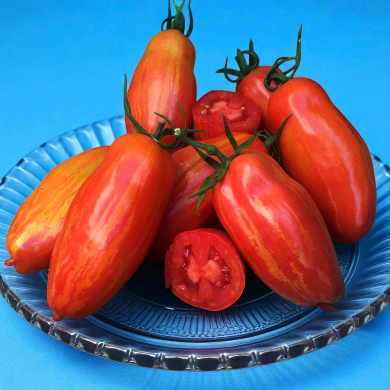 San Marzano Fire (Striped Tomato)