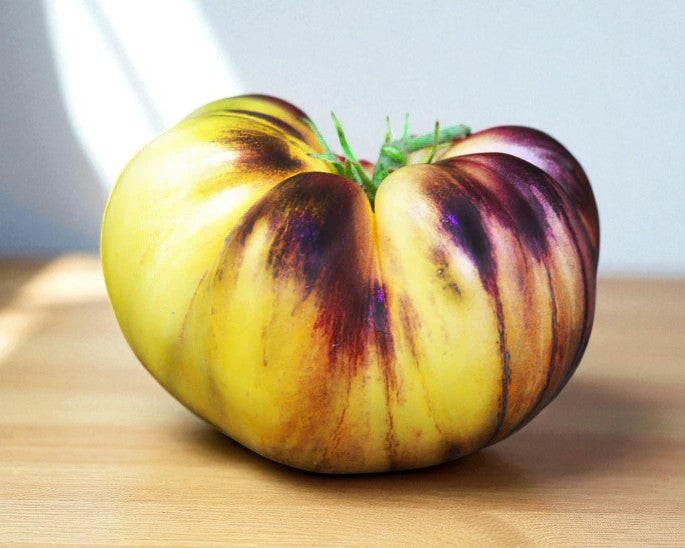 Multicolored striped tomato on a wooden surface with a light background