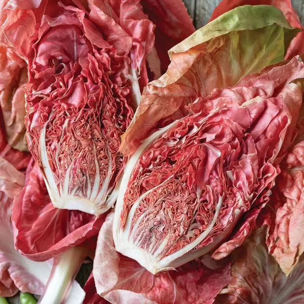 Stella Rosa Radicchio