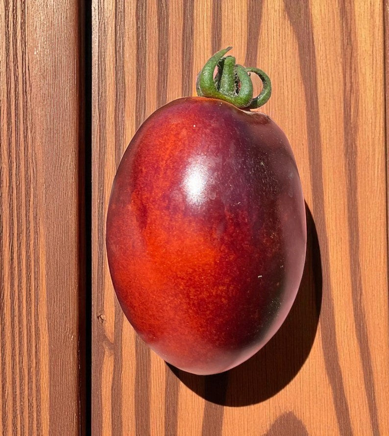 Midnight Roma Red tomato on a wooden surface