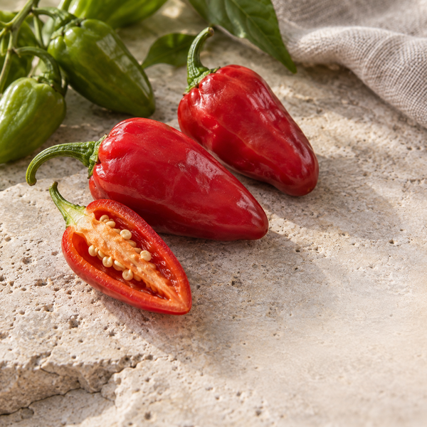 Trinidad Smooth Pepper — culinary view (AI-generated illustration)