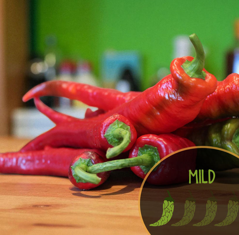 Red chili Wild Cat peppers on a wooden surface with a green background